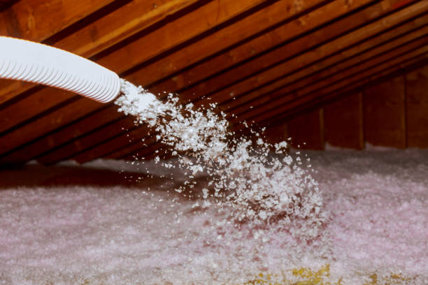Best DIY Insulation Kits and Guidance in Lilburn, GA